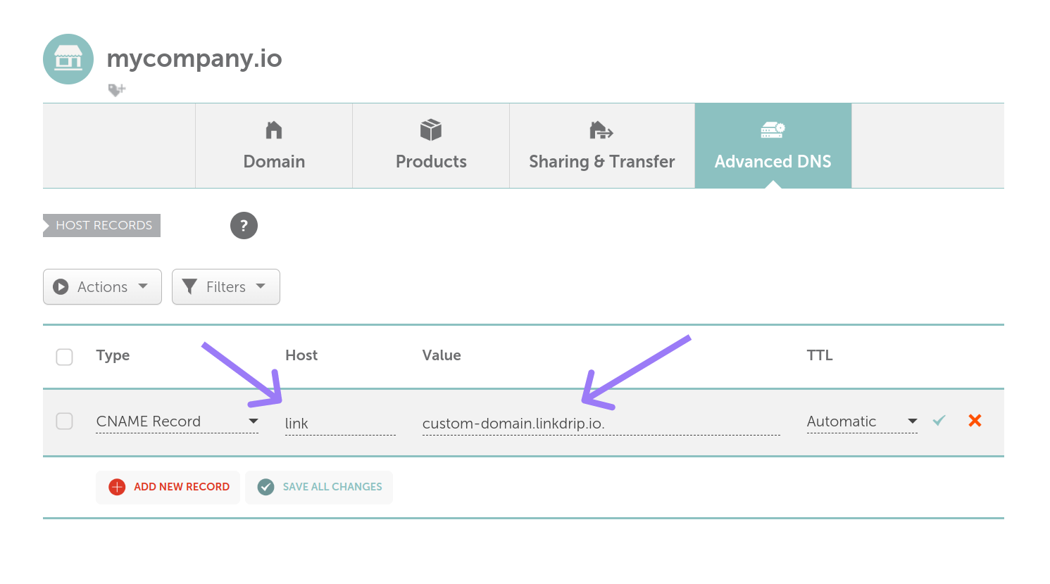 Domain name registrar